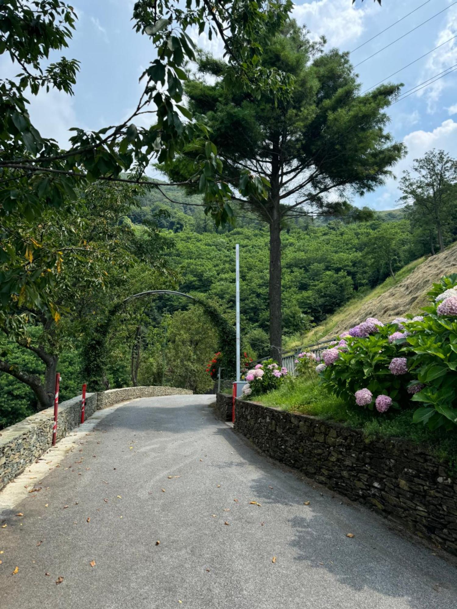 B&B Al Ciliegio Del Turchino Mele Luaran gambar